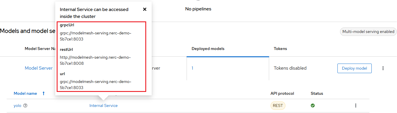 Deployed Model Serving Inference Endpoints