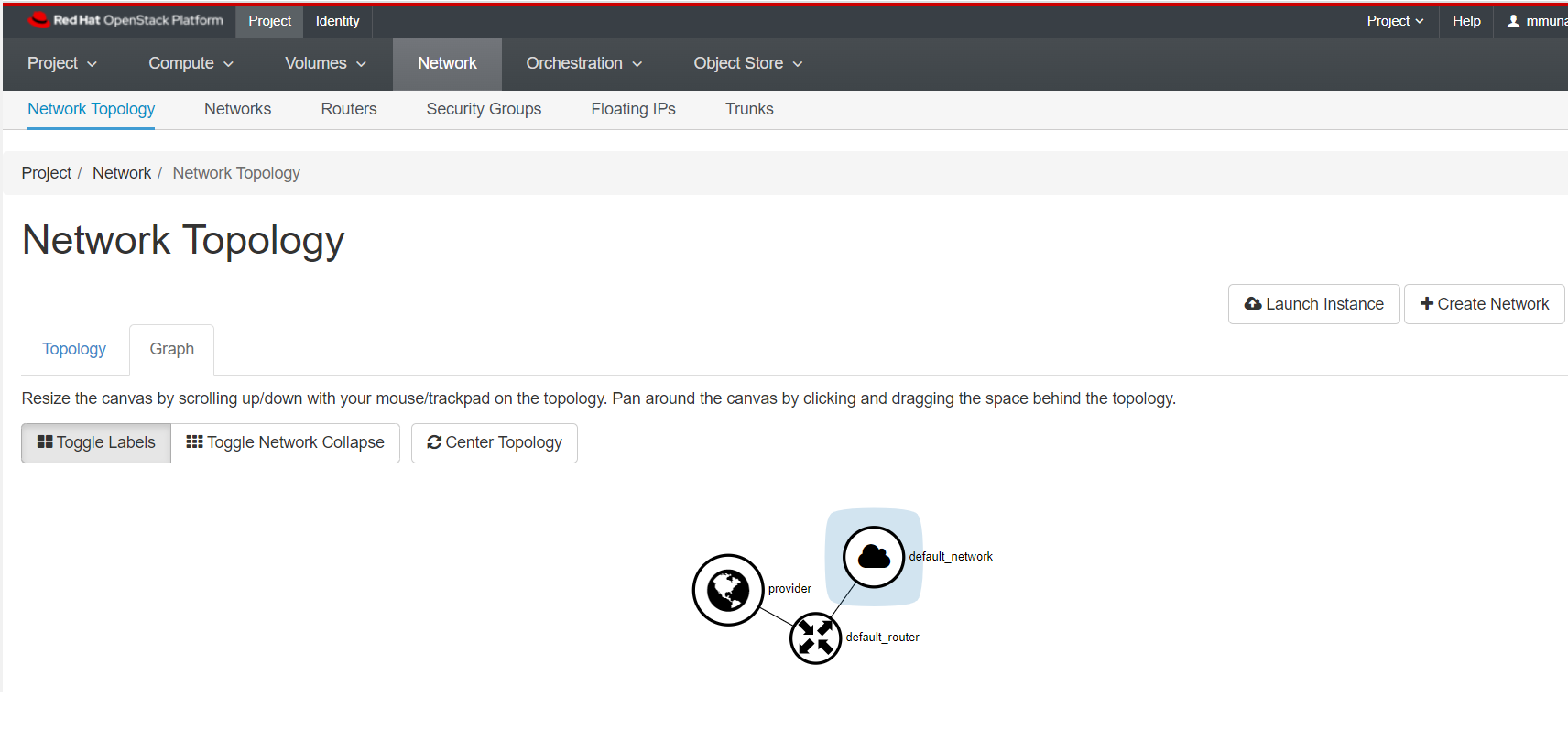 Deafult Network Topology