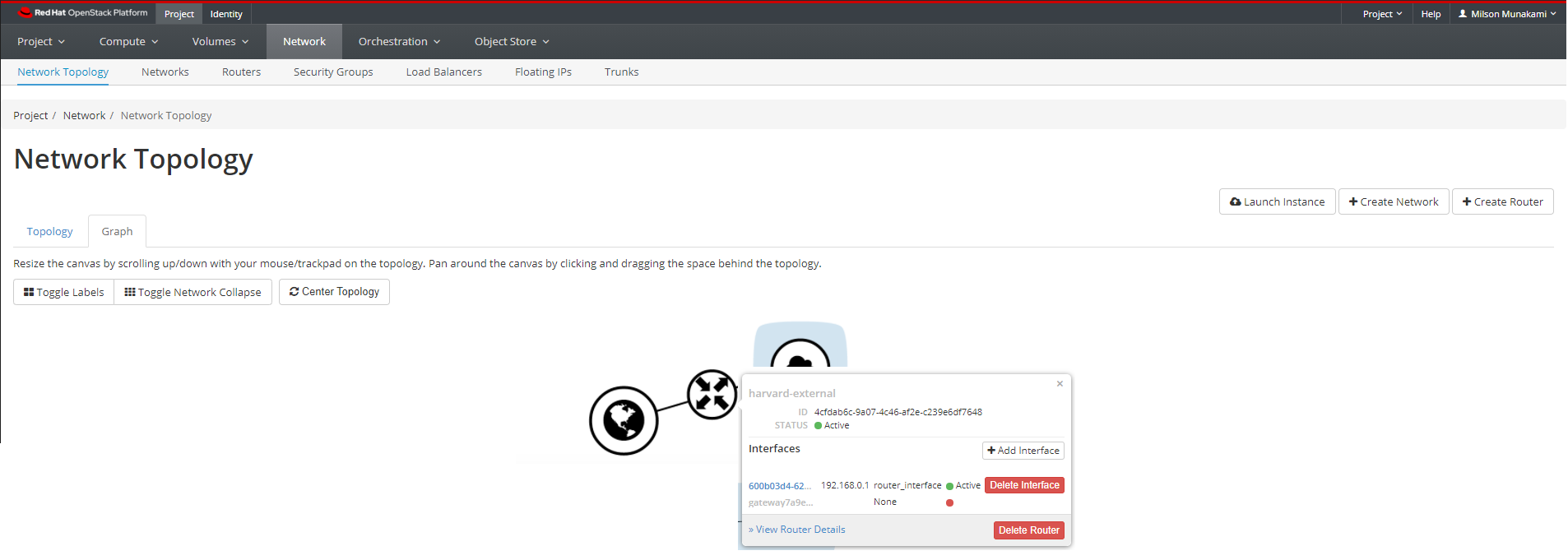 Add Interface from Network Topology