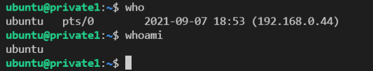 Successful SSH Connection