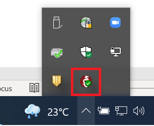WireGuard taskbar icon