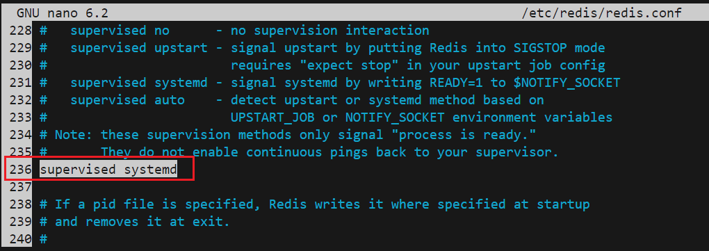 Redis Server Config