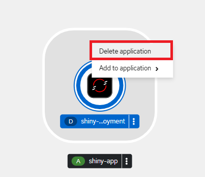 Delete R Shiny App